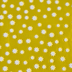 Geschenkpapier aus orientiertem Polypropylen (opp) aus Kunststoff&nbsp;AJEW-F043-01G