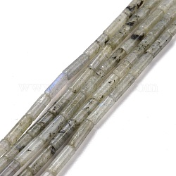 Природные лабрадорита бисер нитей, колонка, 13x4 мм, отверстие : 1.4 мм, около 28 шт / нитка, 15.20'' (38.6~39.1 см)
