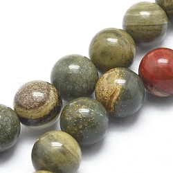 Natürliche Silberblatt Jaspis Perlen Stränge, Runde, 6 mm, Bohrung: 1 mm, ca. 62 Stk. / Strang, 14.9 Zoll (38 cm)