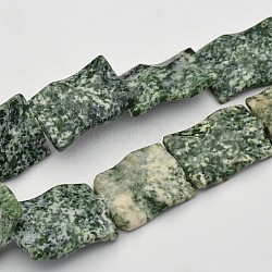 Wave Rectangle Natural Gemstone Beads Strands, 35x25x6mm, Hole: 1mm, about 12pcs/strand, 16.9inch