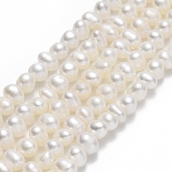 Hebras de perlas de agua dulce cultivadas naturales, patata, crema, 3~4x4~5x4~5mm, agujero: 0.5 mm, aproximamente 98 pcs / cadena, 14.33 pulgada (36.4 cm)