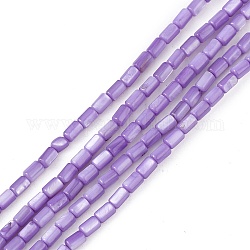Brins de perles d'eau douce naturelles teints en coquille, colonne, support violet, 4.8x3mm, Trou: 0.8mm, Environ 78 pcs/chapelet, 14.96'' (38 cm)