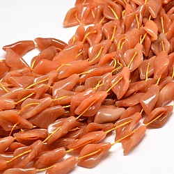 Natural Red Aventurine Bead Strands, Calla Lily, 26~30x14~18x9mm, Hole: 1mm, about 13pcs/strand, 16inch