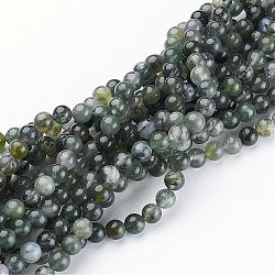 Natural Moss Agate Beads Strands, Round, about 6mm in diameter,  hole: 0.8mm, about 59pcs/strands, 15-16 inch