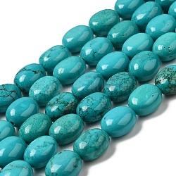 Natürliche Howlith Perlen Stränge, gefärbt, Eiform, Türkis, 15.5~16x13~13.5x8.5~10 mm, Bohrung: 1.2 mm, ca. 25 Stk. / Strang, 15.63~15.71'' (39.7~39.9 cm)