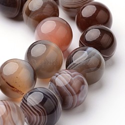 Natural Botswana Agate Bead Strands, Round, 12mm, Hole: 1.5mm, about 34pcs/strand, 15.3 inch