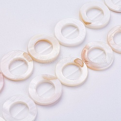 Shell perle naturali fili, ciambella, bianco floreale, 20~20.5x2.5~3mm, Foro: 0.6 mm, circa 20pcs/filo, 15.74 pollice (40 cm)