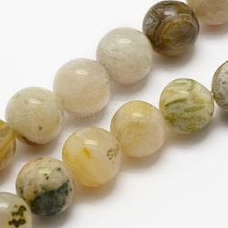 Natürliche Bambus-Blatt-Achat Perlen Stränge, Runde, 4 mm, Bohrung: 1 mm, ca. 95 Stk. / Strang, 15.3 Zoll (39 cm)