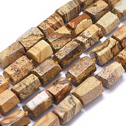 Natural Picture Jasper Beads Strands, Hexagonal Prism, 11~15x9~10mm, Hole: 0.7mm, about 27pcs/strand, 16.5 inch(42cm)