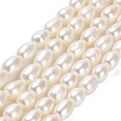 Fili di perle di perle d'acqua dolce coltivate naturali, riso, grado 4a+, papayawhip, 6~8.5x5~5.5mm, Foro: 0.7 mm, circa 52~55pcs/filo, 15.43~15.67 pollice (39.2~39.8 cm)