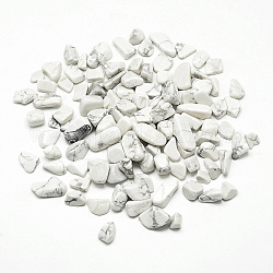Perles d'howlite naturelle, pas de trous / non percés, puce, 5~20x5~10x3~10mm, environ 42 pcs/50 g