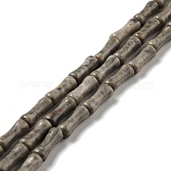 Fossili perle di corallo fili, colonna a forma di bambù, 12x4~5mm, Foro: 1 mm, circa 34pcs/filo, 15.71~ 15.79 pollice (39.9~40.1 cm)