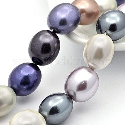 Concha ovalada hebras de abalorios de perlas, color mezclado, 15x13x12mm, agujero: 1 mm, aproximamente 27 pcs / cadena, 15.7 pulgada