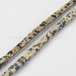 Natur Dalmatiner Jaspis Perlen Stränge, Würfel, 13~13.5x3~5x3~5 mm, Bohrung: 0.5 mm, ca. 29~31 Stk. / Strang, 15.3~15.7 Zoll (390~400 mm)