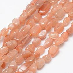 Chapelets de perles de sunstone naturelle naturelles, pierre roulée, pépites, 6~8x4~6mm, Trou: 1mm, 15.3 pouce (39 cm)