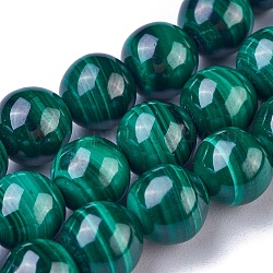 Chapelets de perles en malachite naturelle, ronde, 8mm, Trou: 0.7mm, Environ 52~53 pcs/chapelet, 15.5 pouce (39.5 cm)