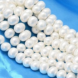 Conchiglia ovale fili di perline perla, bianco, 12.5x11x10mm, Foro: 1~1.2 mm, circa 39pcs/filo, 15.74 pollice
