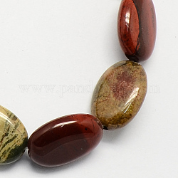 Fili di perline diaspro arcobaleno rosso naturale, ovale, 18x13x6mm, Foro: 1.2 mm, circa 22pcs/filo, 15.7 pollice
