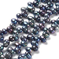 Fili di perle di perle d'acqua dolce coltivate naturali, riso, tinto, blu di Prussia, 7~8x6~7mm, Foro: 0.7 mm, circa 65~68pcs/filo, 13.98~14.37 pollice (35.5~36.5 cm)