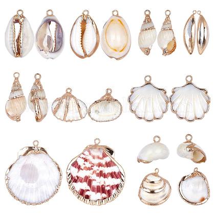 SUNNYCLUE 1 Box 20pcs 10 Styles Natural White Cowrie Seashells Pendant Conch Shells Plated Charms for Necklace Bracelet Earring Making SSHEL-SC0001-03-1