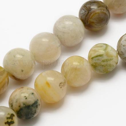 Chapelets de perles en agate de feuille de bambou naturelle G-K194-4mm-01-1