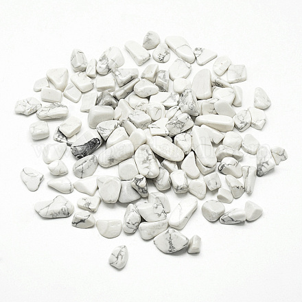 Natürliche Howlith Perlen X-G-Q947-23-1