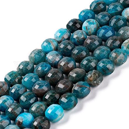 Natural Apatite Beads Strands G-D0003-A84-1