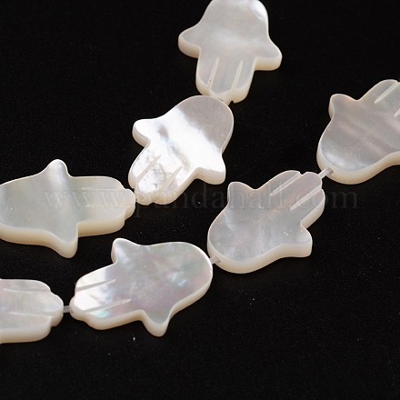 Natural Shell Beads BSHE-O015-16-1