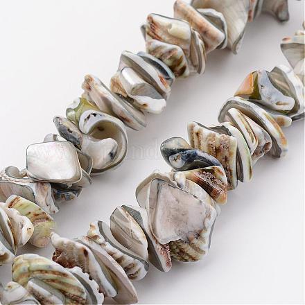 Chapelets de perles en coquillage naturel BSHE-P010-08-1