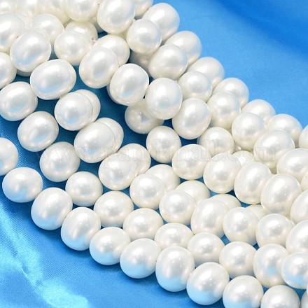 Concha ovalada hebras de abalorios de perlas BSHE-L013-S-A013A-1