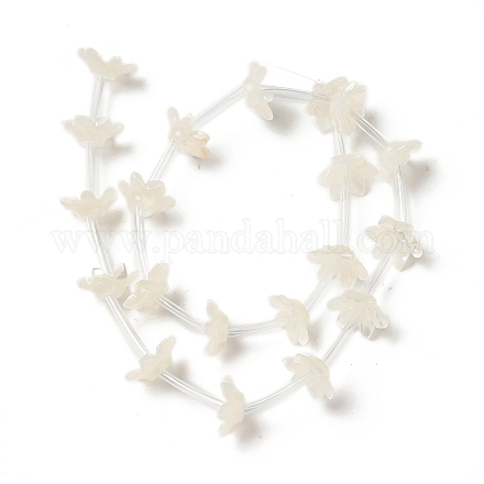 Bouchons de perles de coquillage blanc naturel BSHE-B005-02-1