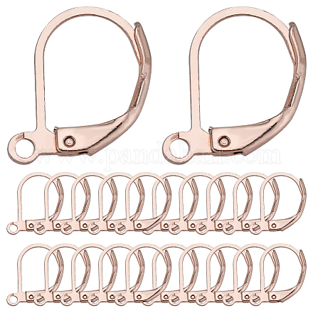 SUNNYCLUE 1 Box 60Pcs Leverback Earring Findings Rose Gold Stainless Steel Earring Hooks Lever Back Ear Wires Leverbacks French Earring Hooks Hypoallergenic Dangle Earwire for Jewelry Making Supplies STAS-SC0006-44-1