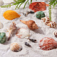 PandaHall Elite Fashion Beach Seashells DIY-PH0019-14-7