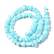 Coquille de trochid naturel / brins de perles de coquille de trocas SSHEL-N034-78-C03-2