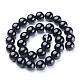 Natural Black Onyx Round Beads Strands GSR12mmC097-3