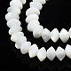 Coquille de trochid naturel / brins de perles de coquille de trocas SSHEL-N034-134-3
