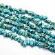 Synthetic Turquoise Beads Strands G-O049-C-43-1