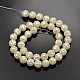 Faceted Round Natural White Shell Beads SSHEL-N012-09-10mm-2