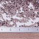Perline miyuki delica piccole X-SEED-J020-DBS0146-4