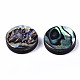 Natural Abalone Shell/Paua Shell Beads SSHEL-T014-14C-2