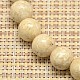 Natural Fossil Round Beads Strands G-I108-6mm-4
