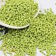 Baking Paint Glass Seed Beads X-SEED-S042-05B-62-1