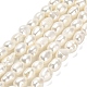 Natural Cultured Freshwater Pearl Beads Strands PEAR-E016-110-1