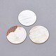 Natural White Shell Mother of Pearl Shell Cabochons SHEL-P076-13-1