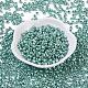 12/0 Glass Seed Beads SEED-A017-2mm-1119-1