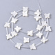 Natural White Shell Beads X-SSHEL-S264-070-2