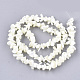 Chapelets de perles de coquille de trochid / trochus coquille SSHEL-S251-70-1