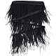 GORGECRAFT 2.2 Yards Black Ostrich Feather Trim Fringe 4-6 Inch Width Craft Plumes Feathers with Satin Ribbon Tape Ornament Accessories for DIY Dress Sewing Clothes Accessories Costumes Decoration FIND-GF0004-66A-1