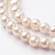 Natural Cultured Freshwater Pearl Beads Strands PEAR-F001-28-1