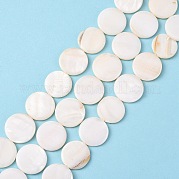 Бусины из натуральных пресноводных ракушек S00C20W3
